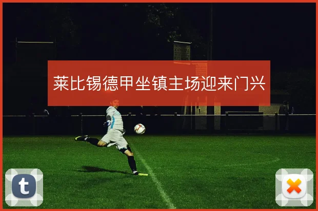 莱比锡德甲坐镇主场迎来门兴