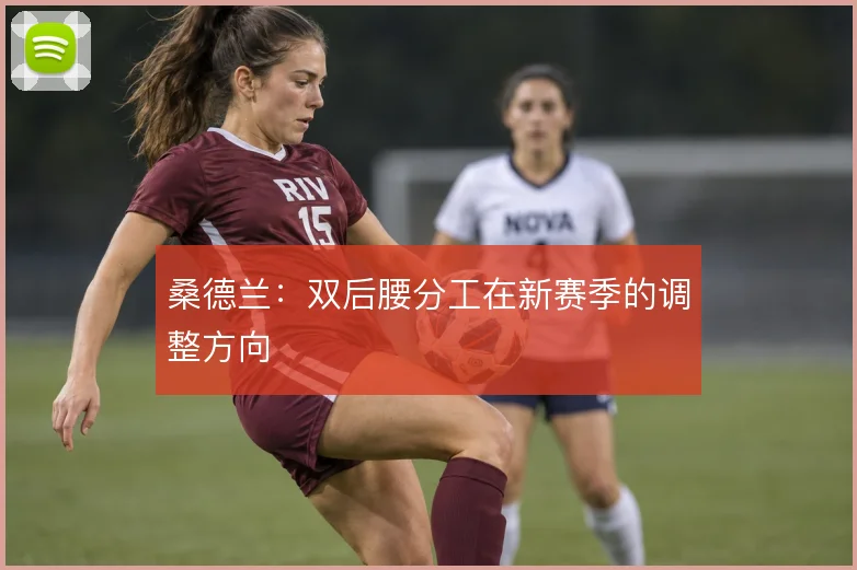 桑德兰：双后腰分工在新赛季的调整方向