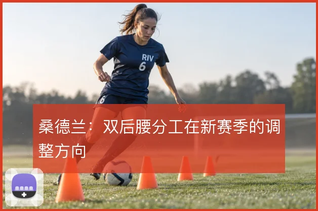 桑德兰：双后腰分工在新赛季的调整方向